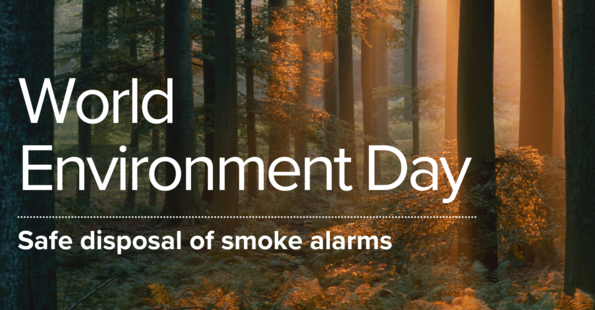 Safer Disposal for a Greener Tomorrow